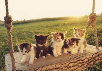 德扑圈俱乐部客服推荐