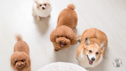 hhpoker俱乐部客服推荐