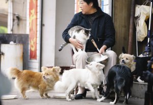 德扑圈俱乐部客服推荐